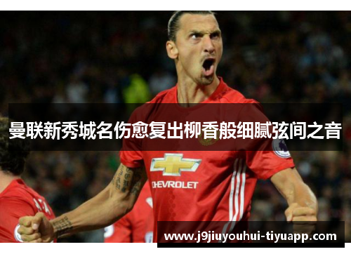 曼联新秀城名伤愈复出柳香般细腻弦间之音